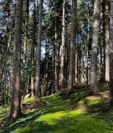 Conseil aux propriétaires privés